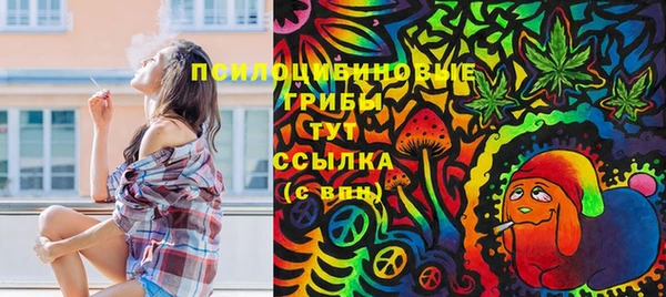хмурый Сосновка