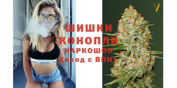 хмурый Сосновка